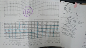 DSC_0481 (2500x1406).jpg